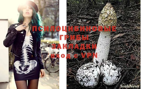 не бодяженный Богданович