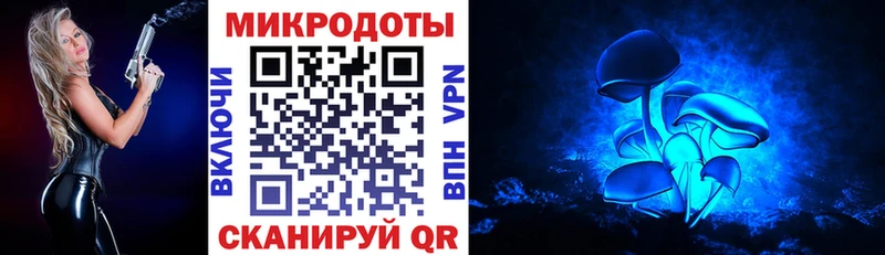 Галлюциногенные грибы Magic Shrooms  Купить где  Междуреченск 